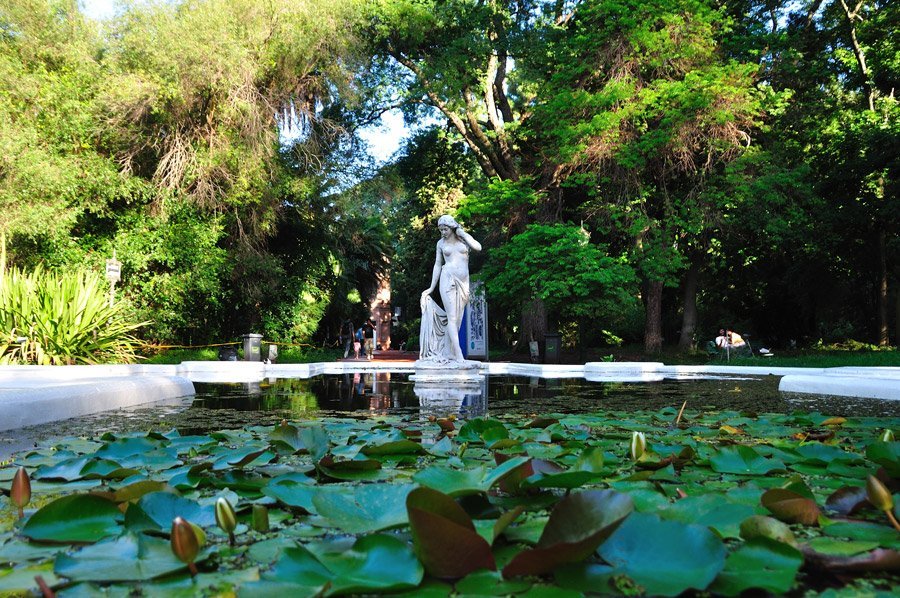 El estanque del Jardín Botánico de Buenos Aires - Historias en verde